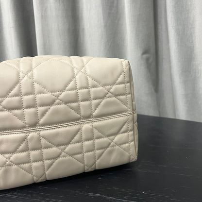 카타 / 디올 세로판 가방