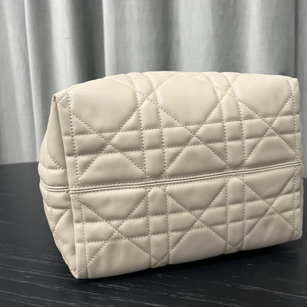 카타 / 디올 세로판 가방