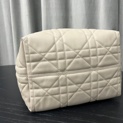 카타 / 디올 세로판 가방