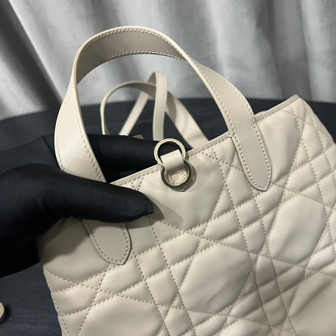 카타 / 디올 세로판 가방