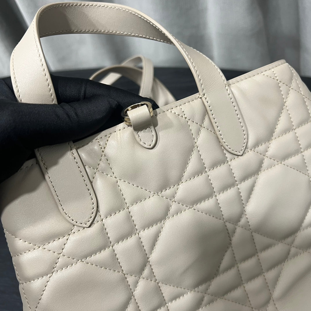 카타 / 디올 세로판 가방