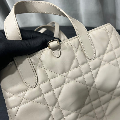 카타 / 디올 세로판 가방