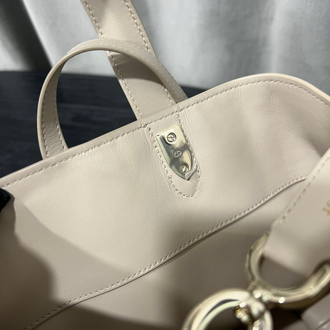 카타 / 디올 세로판 가방