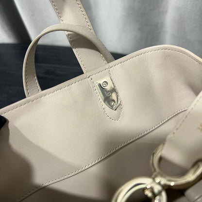 카타 / 디올 세로판 가방