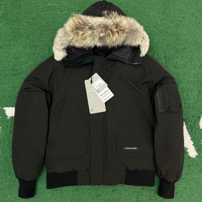 BVG / 캐나다구스 패딩