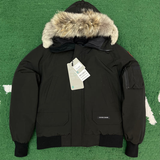 BVG / 캐나다구스 패딩