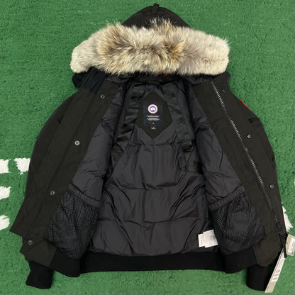 BVG / 캐나다구스 패딩