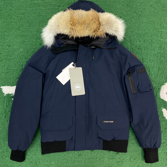 BVG / 캐나다구스 패딩
