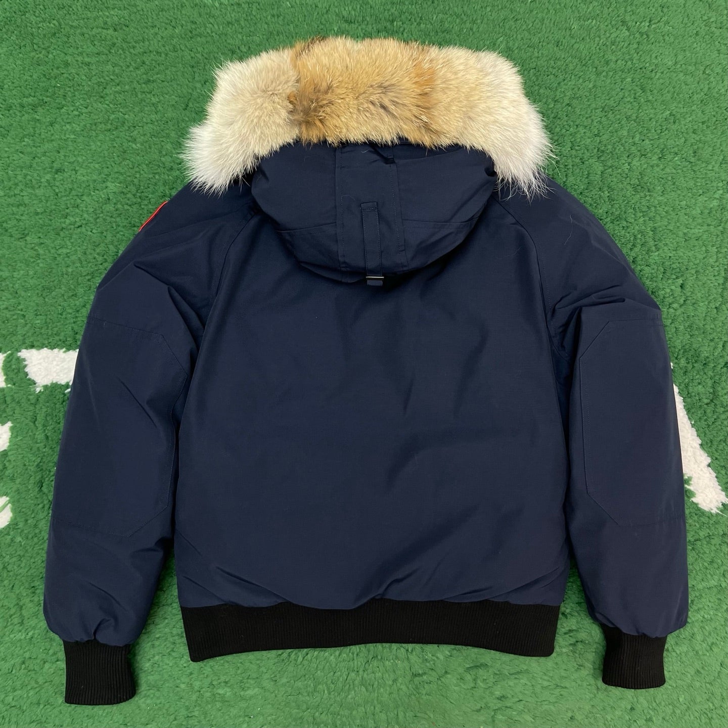 BVG / 캐나다구스 패딩