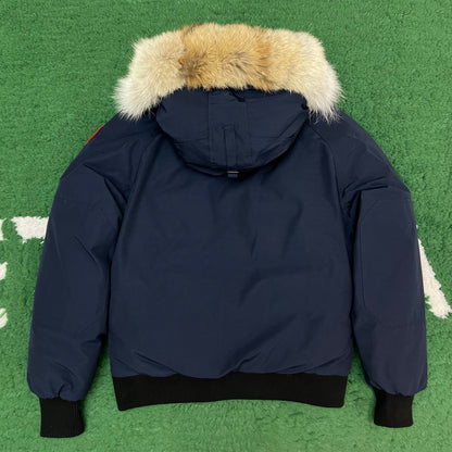 BVG / 캐나다구스 패딩