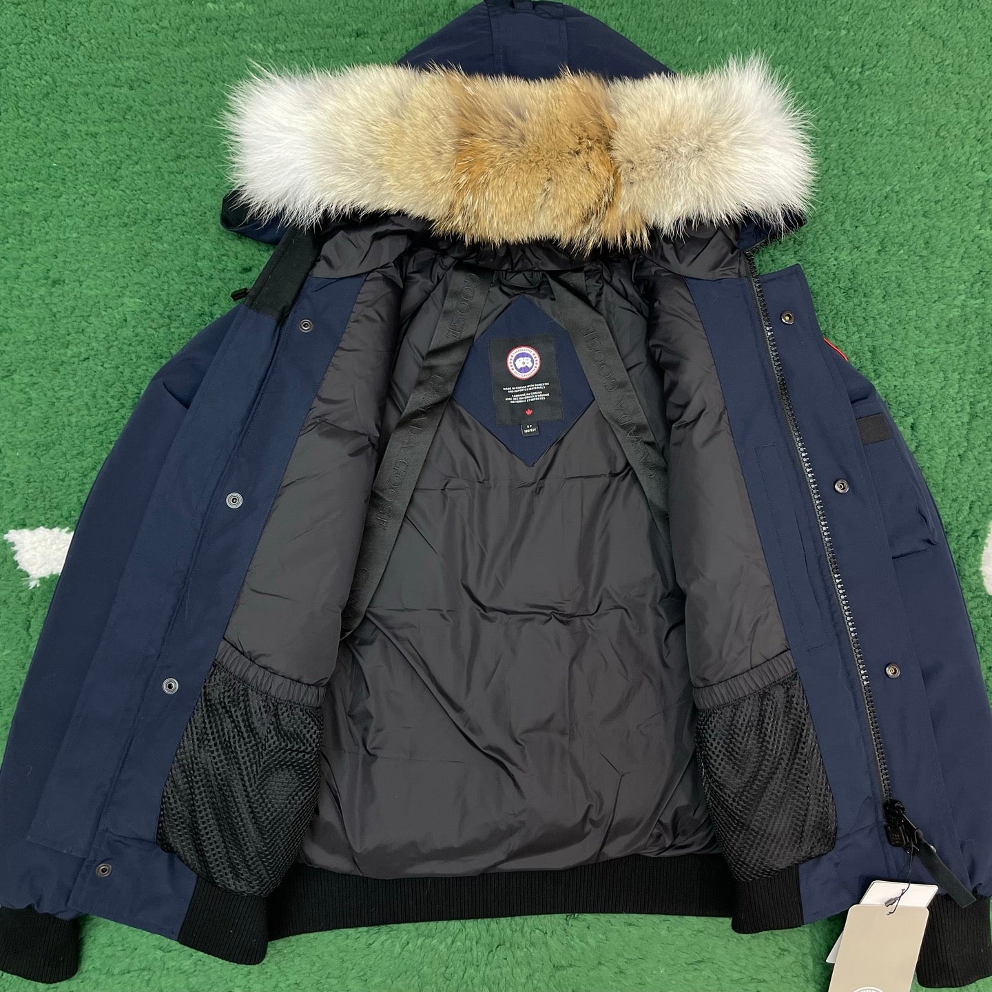 BVG / 캐나다구스 패딩