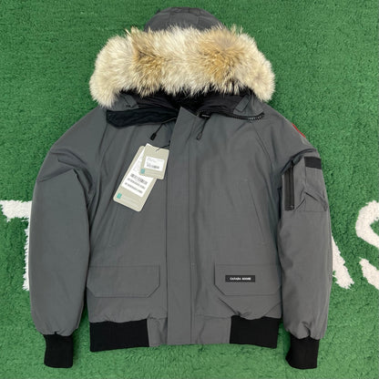 BVG / 캐나다구스 패딩