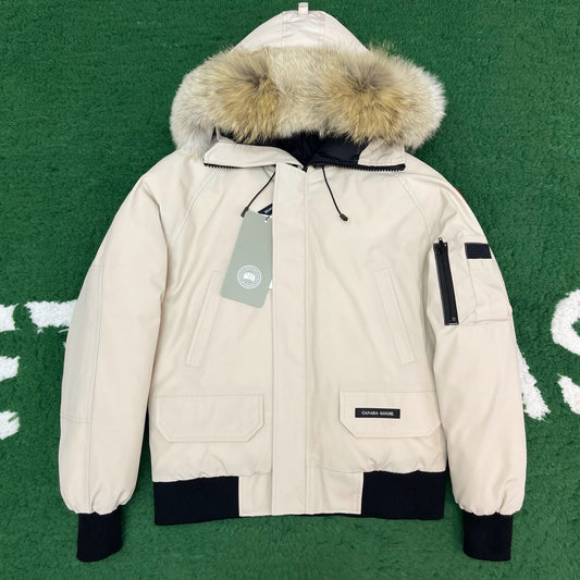 BVG / 캐나다구스 패딩