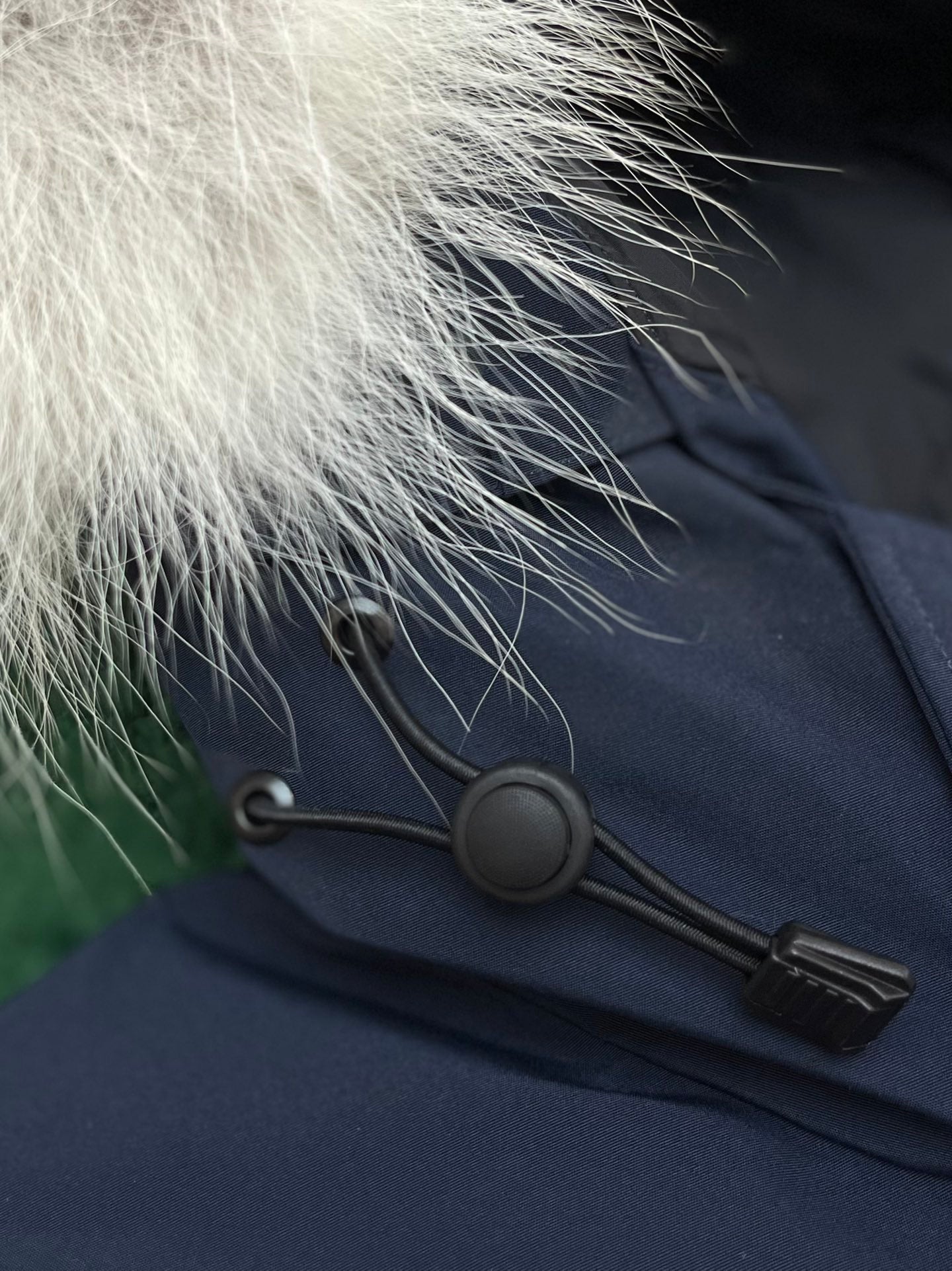 BVG / 캐나다구스 패딩