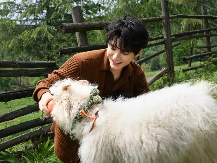 BVG / 구찌 니트 카디건